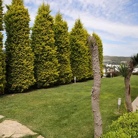 Villa Important Group | Villa Jade Ortakentyahşi